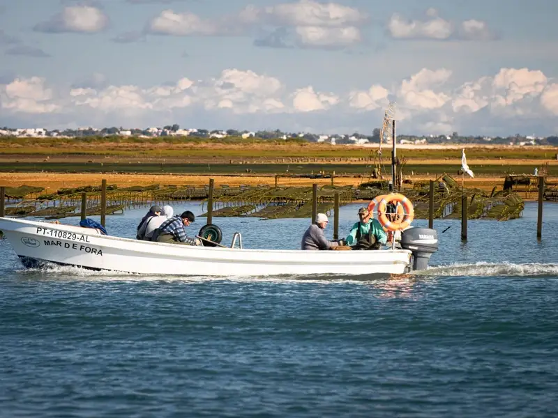 De lagune Ria Formosa bij Faro