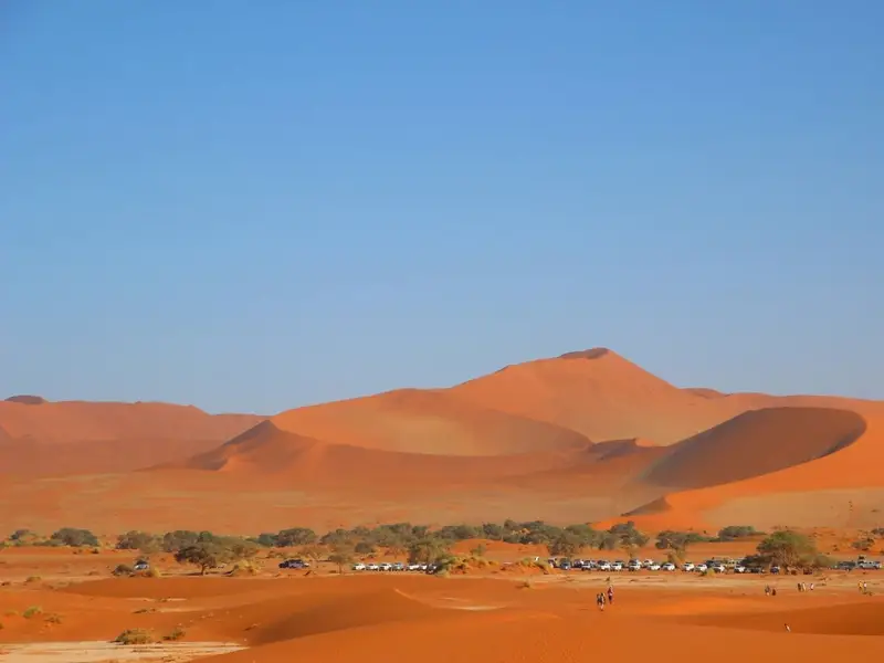 De rode duinen van de Namibwoestijn in Namibië