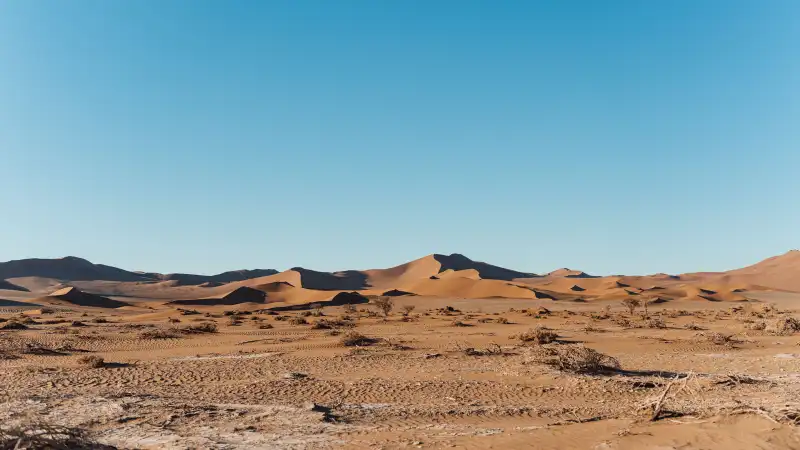 De rode duinen en eindeloze vergezichten van Namibië