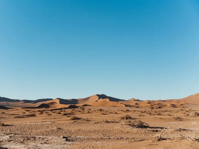 De rode duinen en eindeloze vergezichten van Namibië