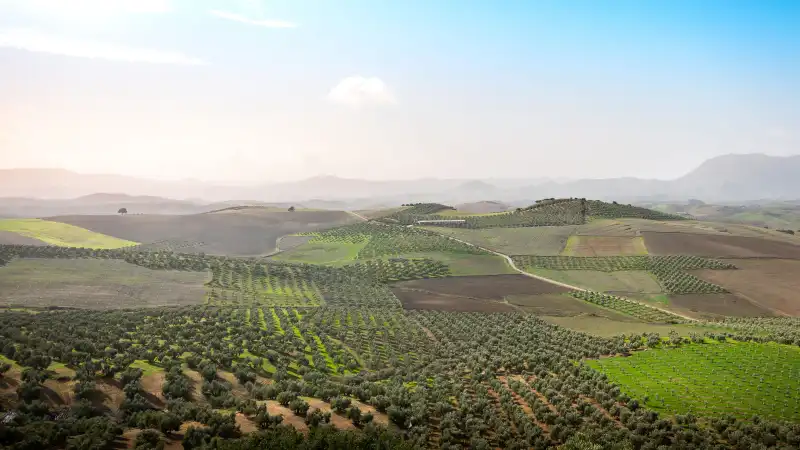 Wit Andalusisch bergdorp in het landschap van Spanje
