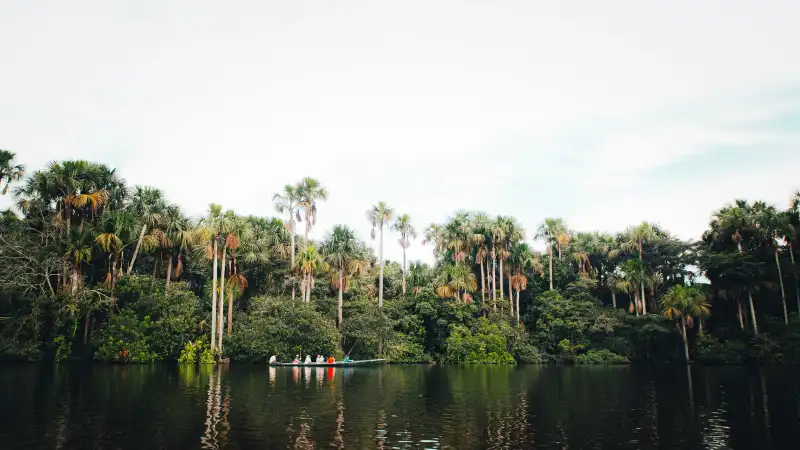 Tropisch regenwoud langs een rivier in Suriname