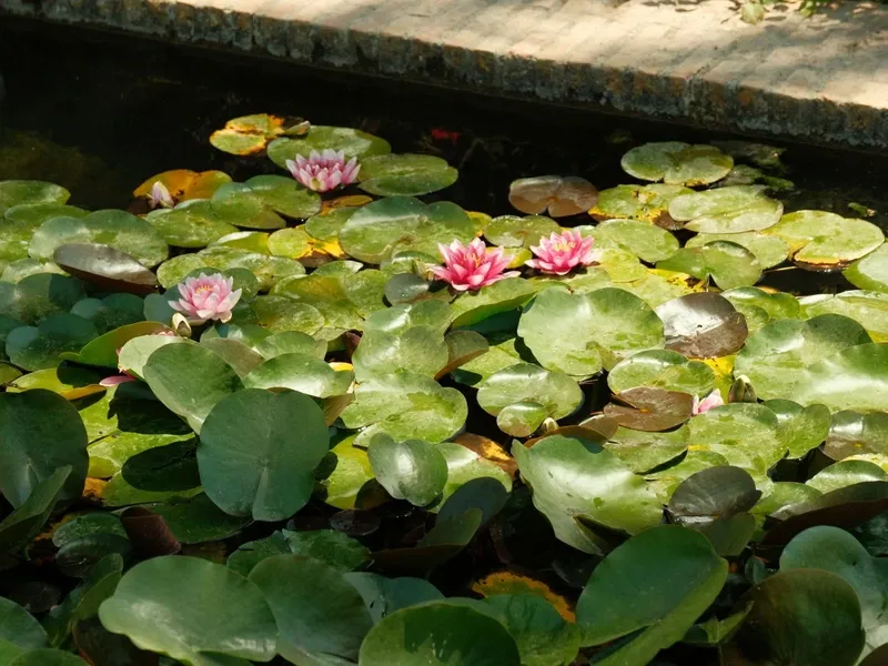 De tuinen van het Generalife