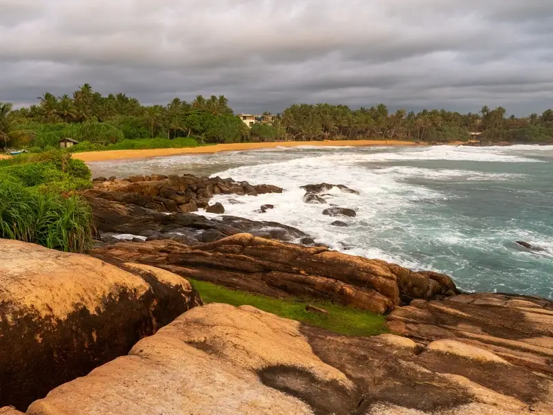 Groen tropisch kustlandschap in Sri Lanka