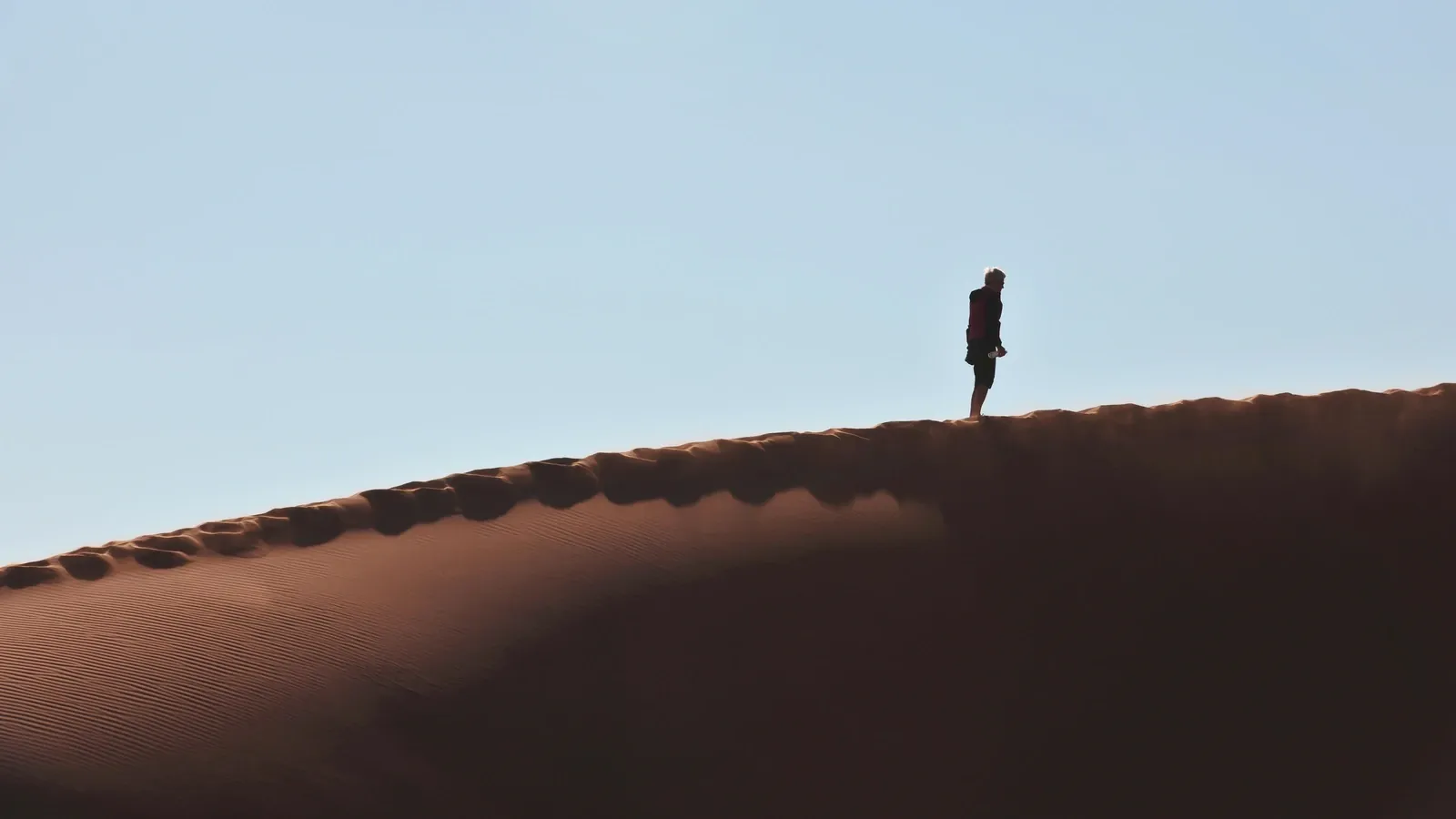 Namibië vakantie: duinen en wildlife