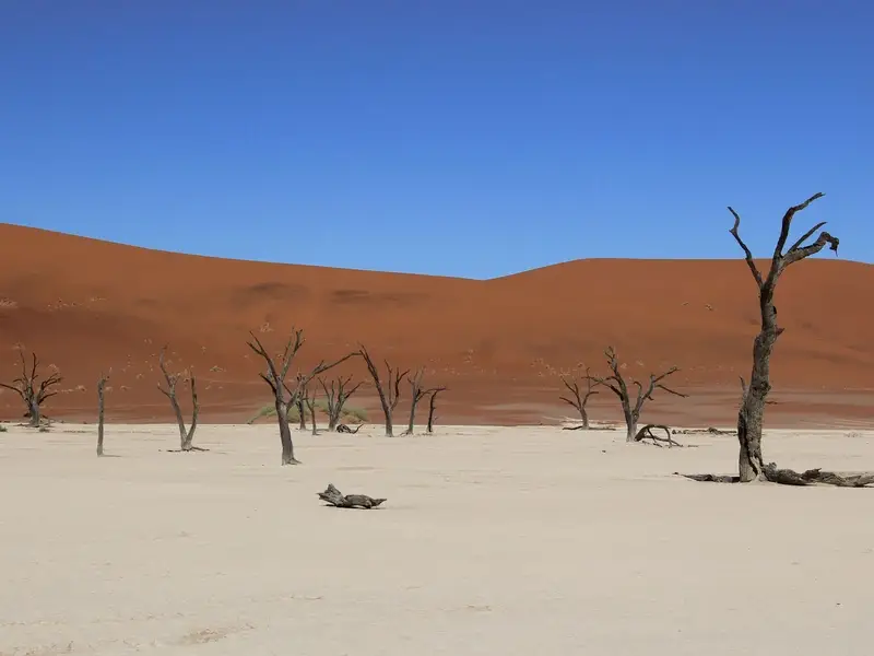 Rondreis Namibië