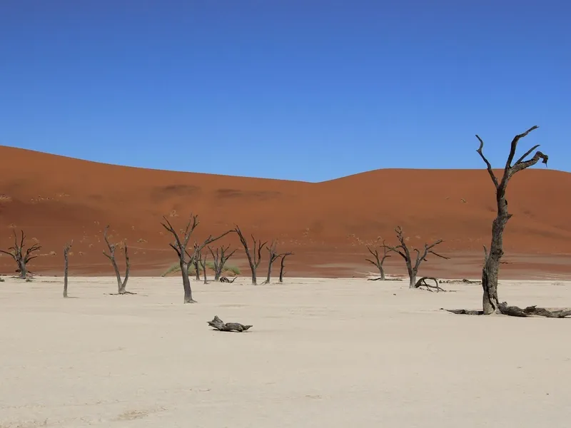 Rondreis Namibië