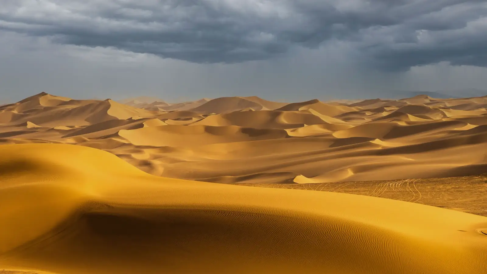Oman vakantie: wadi's en woestijn