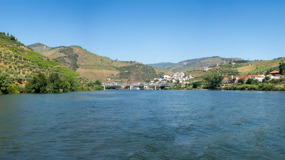 De terrasvormige wijngaarden langs de rivier in de Douro-vallei