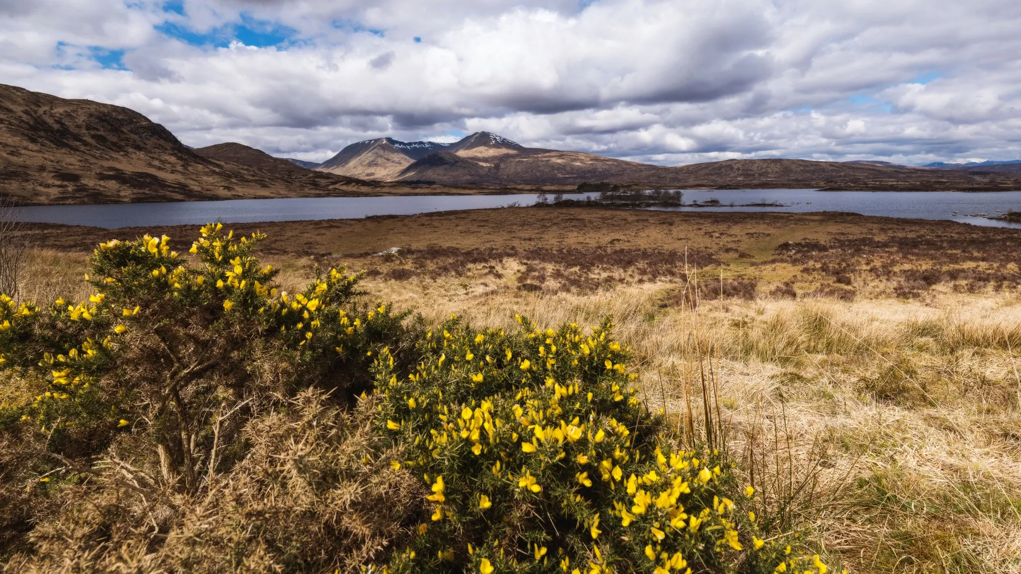 Schotland vakantie: Highlands en kastelen