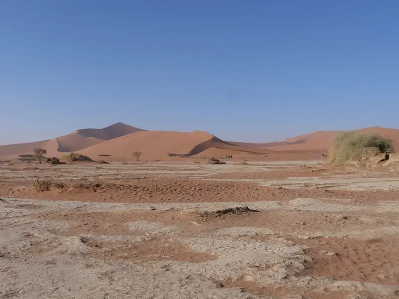 De hoge duin Big Daddy boven Deadvlei