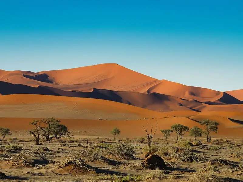 De sierlijke Dune 45 in de Namibwoestijn