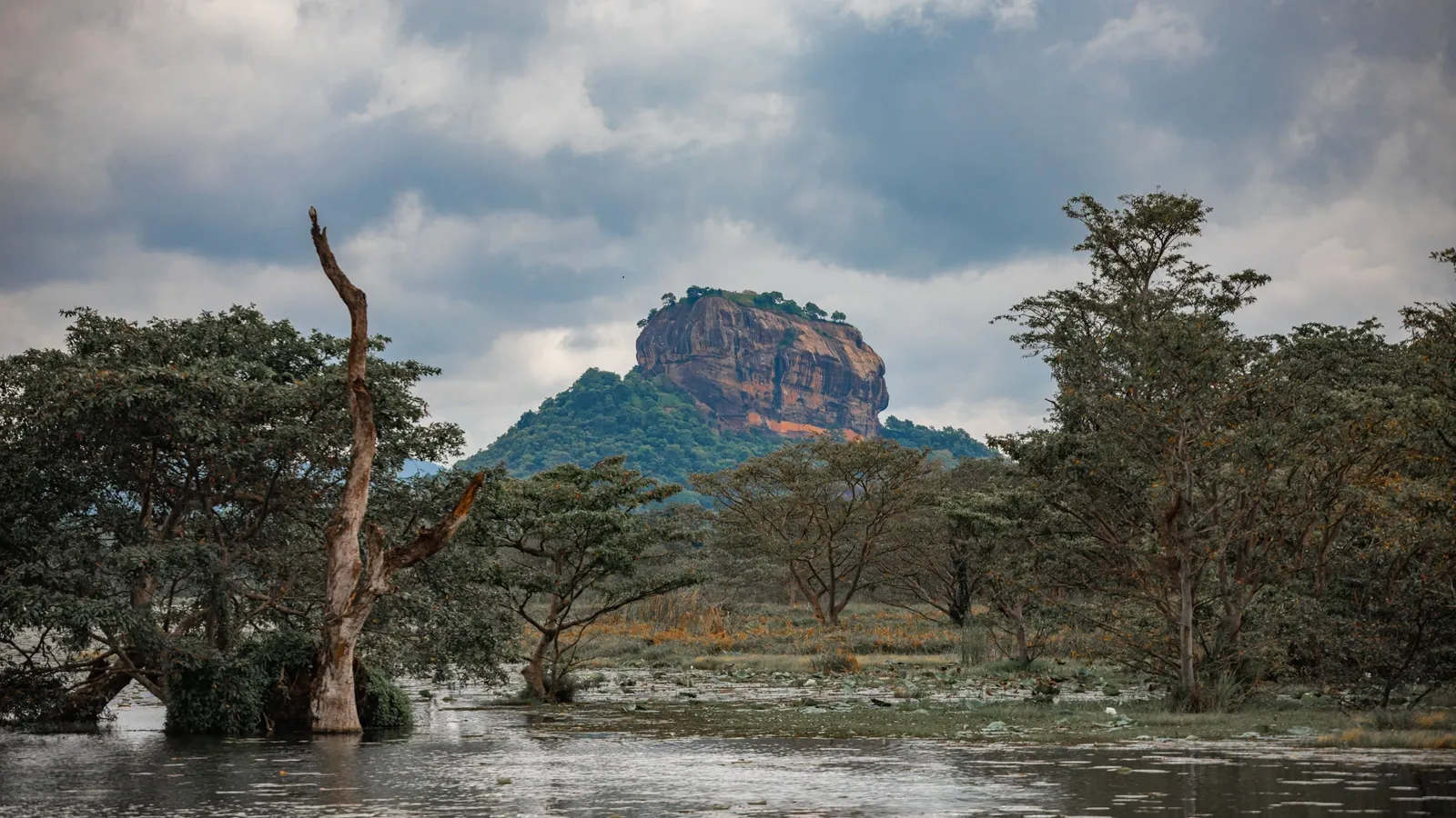 Sri Lanka vakantie: theeplantages en tempels